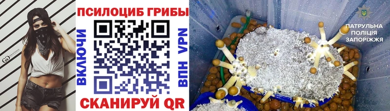 закладки  Монино  Галлюциногенные грибы MAGIC MUSHROOMS 